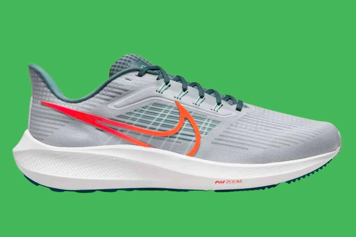 Nike Air Zoom Pegasus 39 Review (2022): Should You Get It?