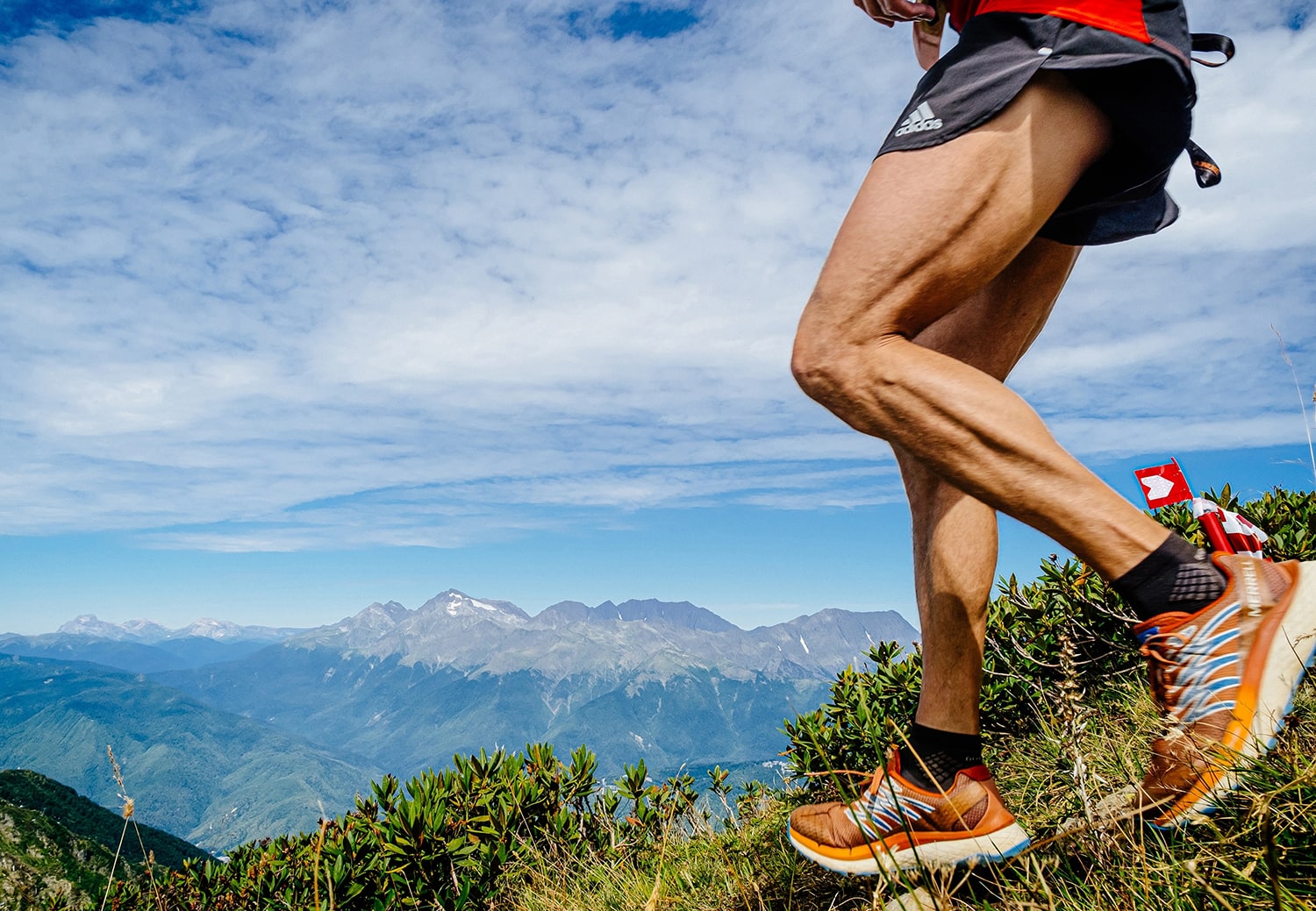 Salomon vs. Merrell Which Brand for Trail Running and Hiking?