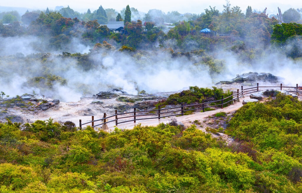 Te Puia thermal park Rotorua New Zealand