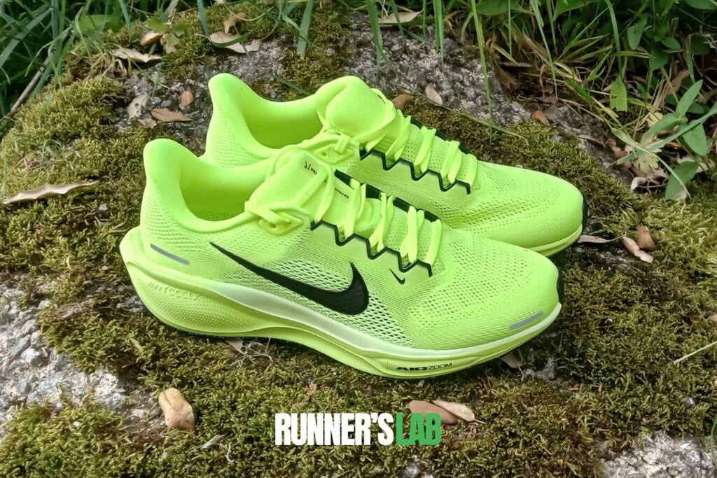 pair of Nike Pegasus 41 running shoes