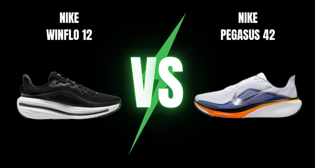 Nike Winflo 12 vs Nike Pegasus 42