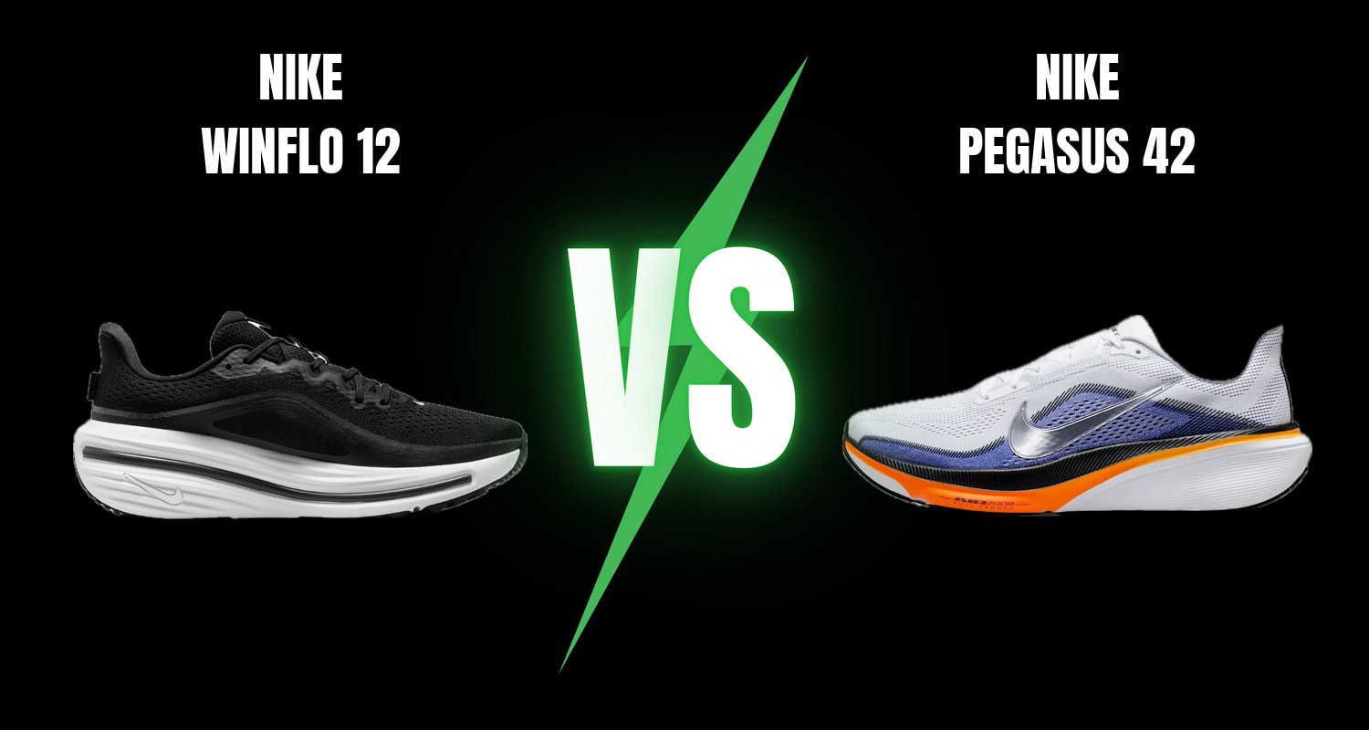 Nike Winflo 12 vs Nike Pegasus 42