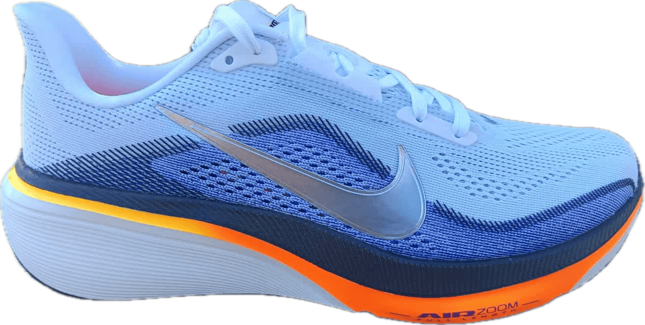 Nike Pegasus 42