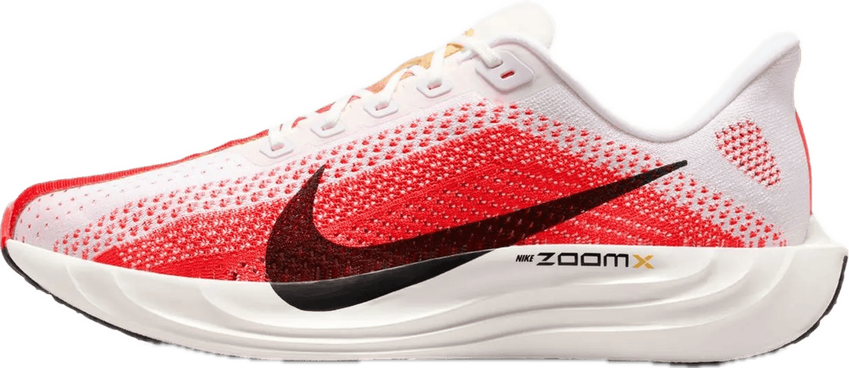 Nike Pegasus Plus