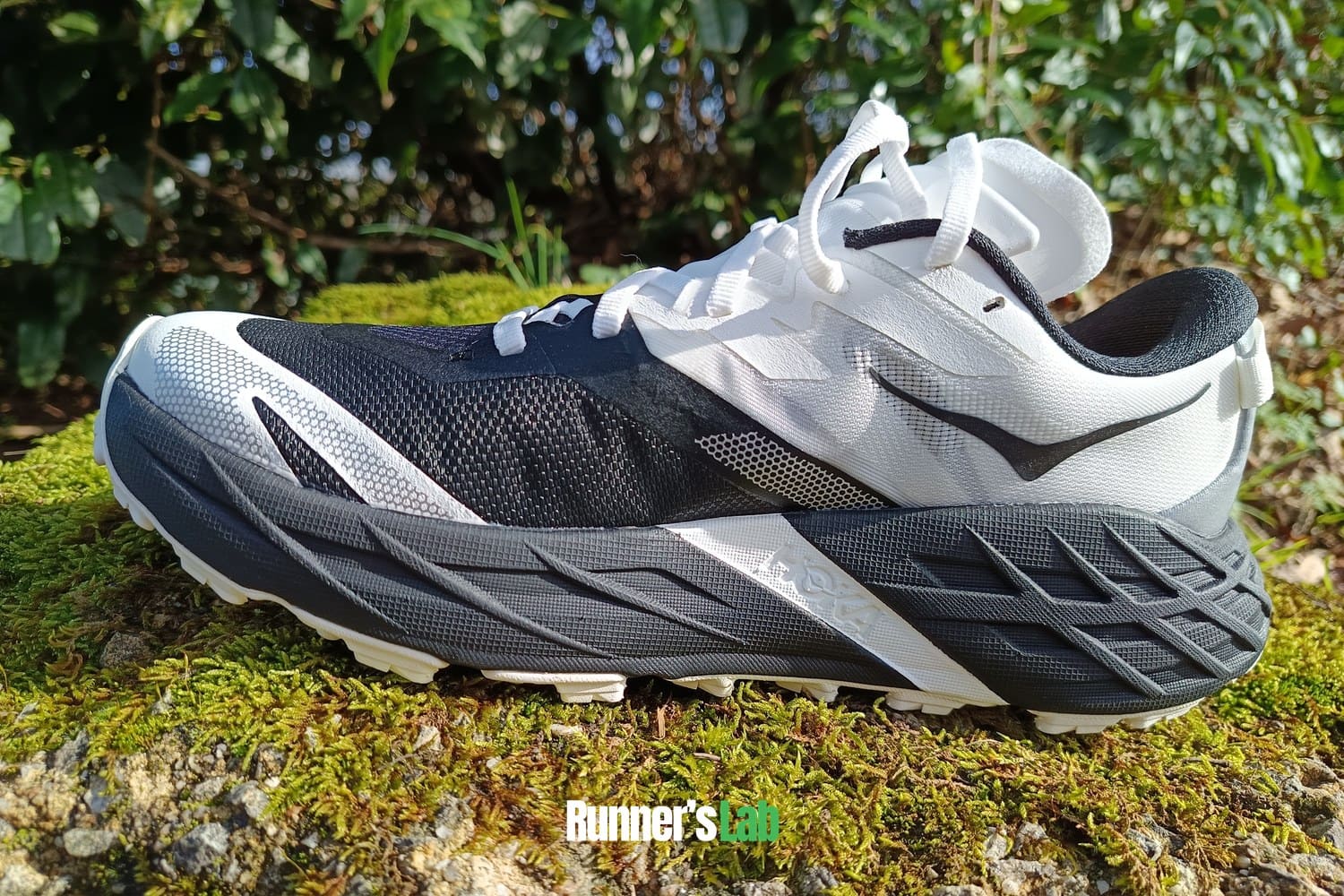 Hoka Speedgoat 7 midsole cushioning
