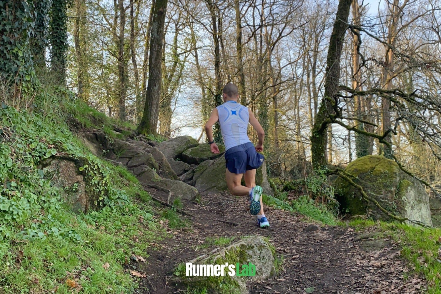 Trail runner in the Catamount on a forest trail