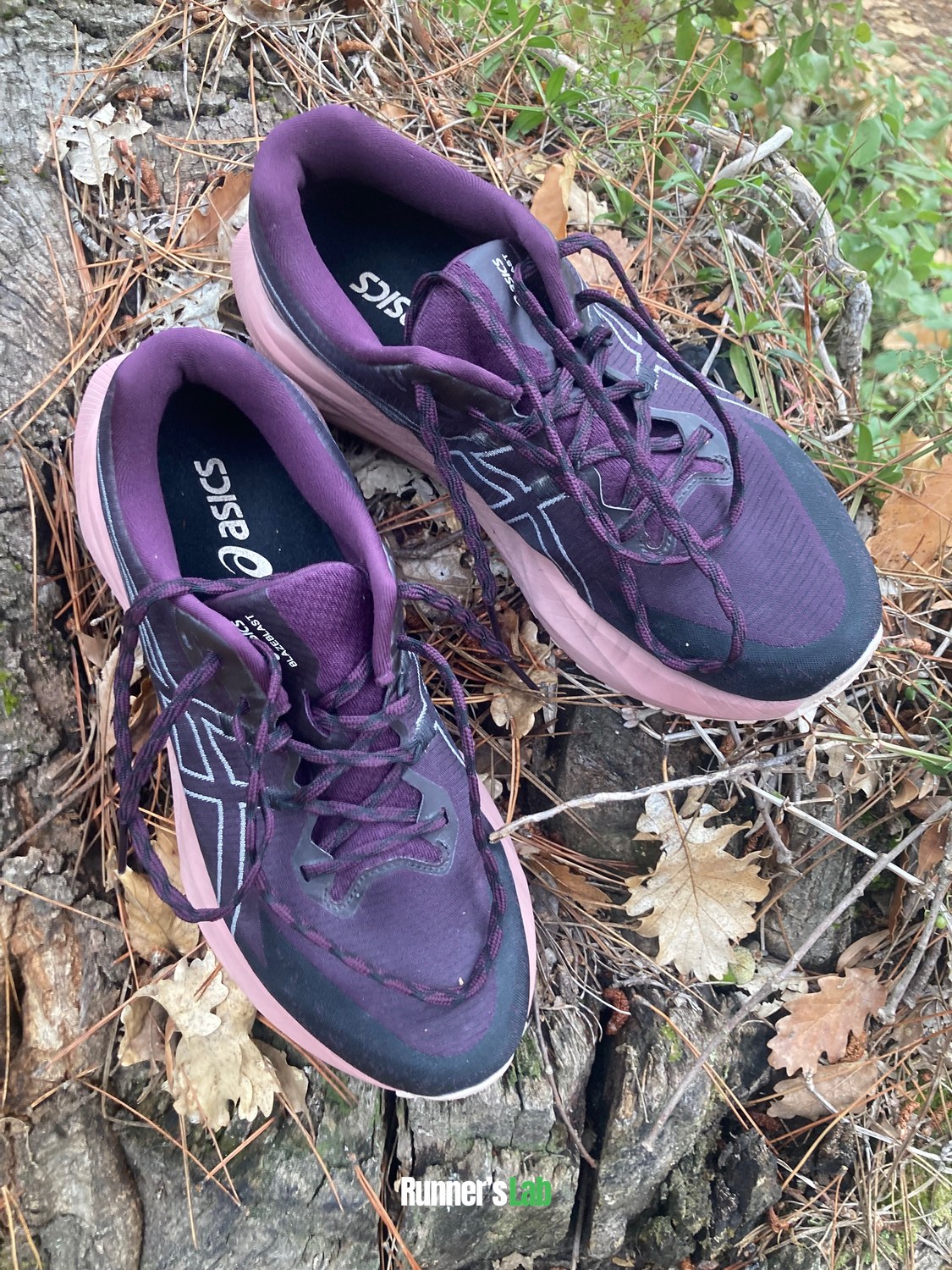 Pair of Asics Blazeblast on a tree stump in the forest