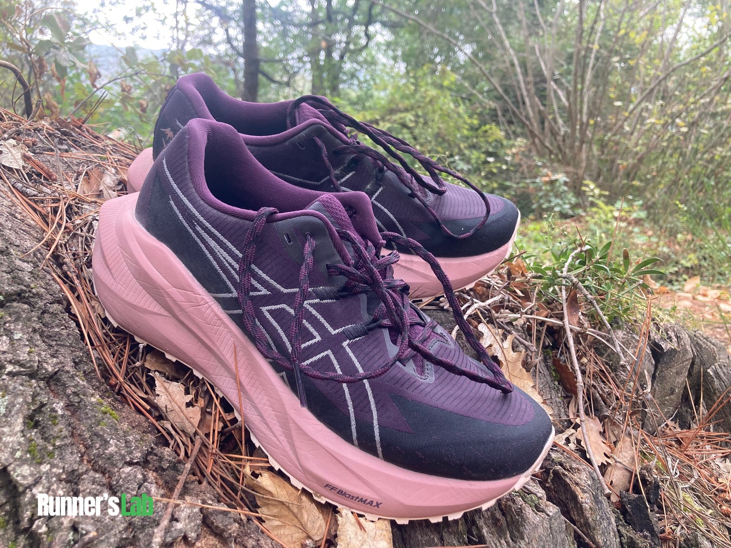 Pair of Asics Blazeblast on a stump in the woods